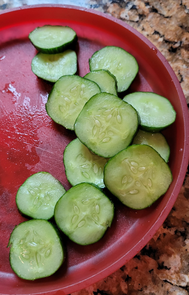 Growing Green Dragon Hybrid Cucumbers - 2022